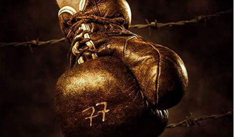 剧情电影《波兰》影评 解说素材 观后感-AI电影文案解说网