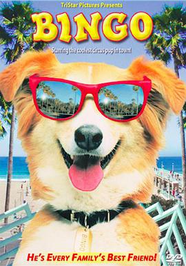 喜剧电影《灵犬宾果》解说文案 解说稿-AI电影文案解说网