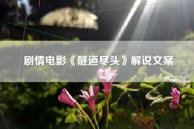 剧情电影《隧道尽头》解说文案-AI电影文案解说网