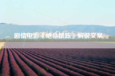 剧情电影《绝命跟踪》解说文案-AI电影文案解说网